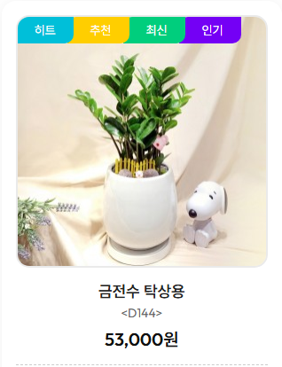 금전수 탁상용